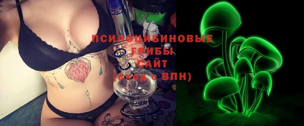 бошки Алексин