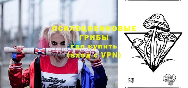 a pvp Алексеевка
