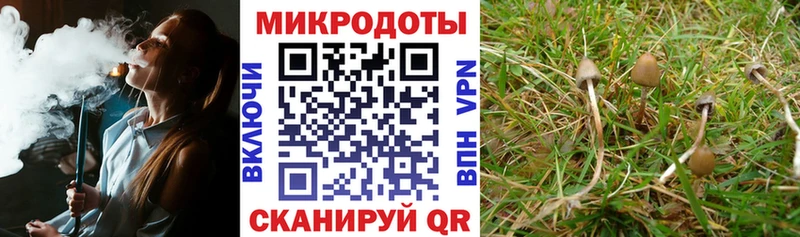 Псилоцибиновые грибы мухоморы  ОМГ ОМГ рабочий сайт  Лихославль 